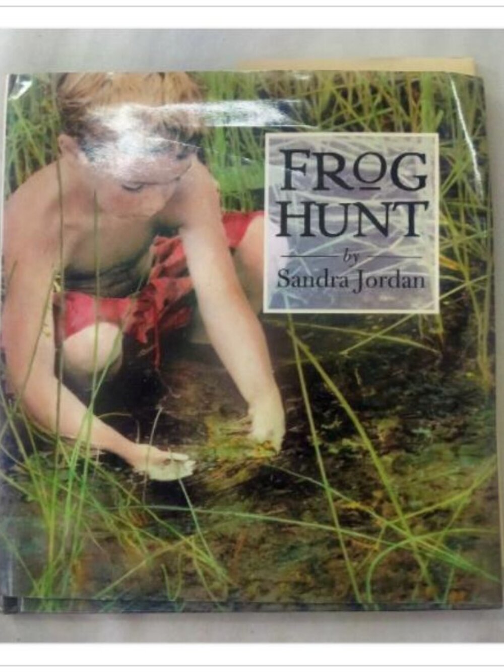Frog Hunt Sandra Jordan 2002 Hardcover Book Vintage Novel Read Classic